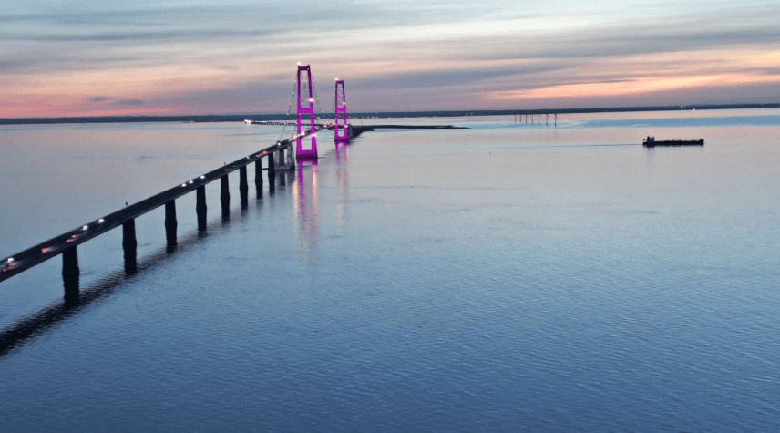 Storebæltsbro lyser op i lilla i anledning af Purple Day
